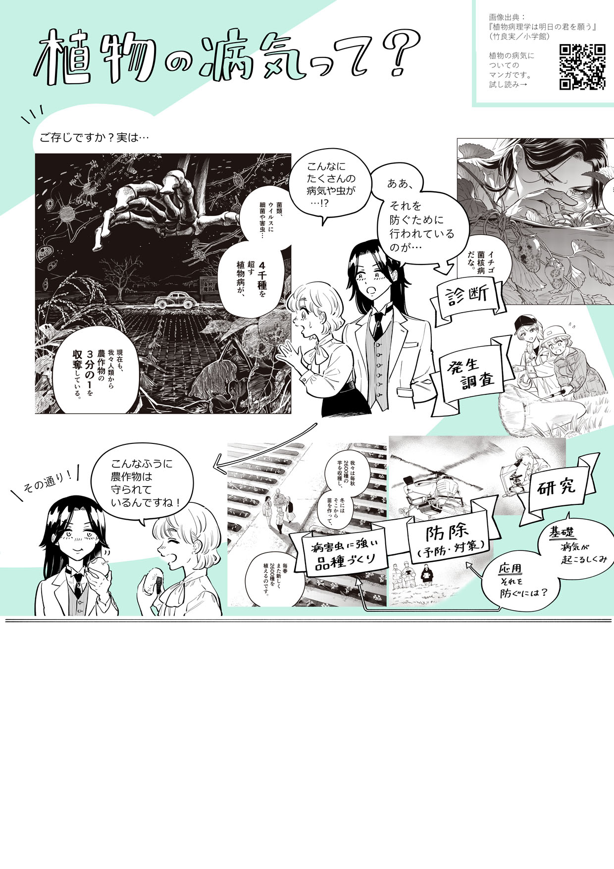 Ippan_PR